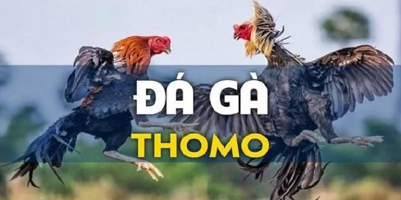 da-ga-thomo-1