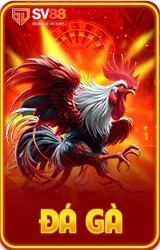 sv88 đá gà